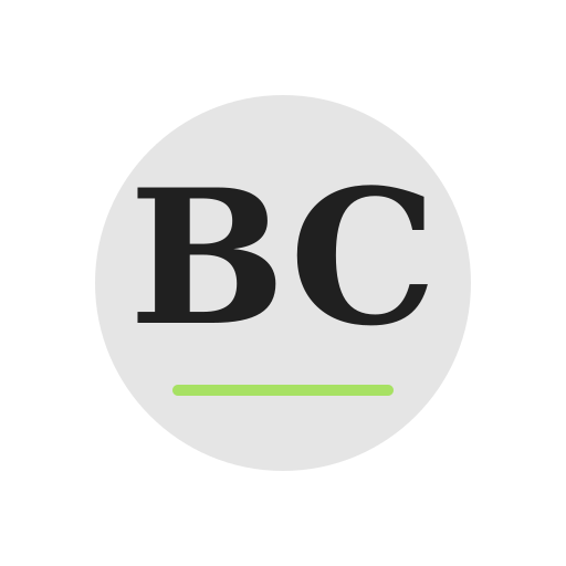 Bevi Chimney Services logo